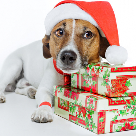 Top 25 Holiday Drives In Los Angeles