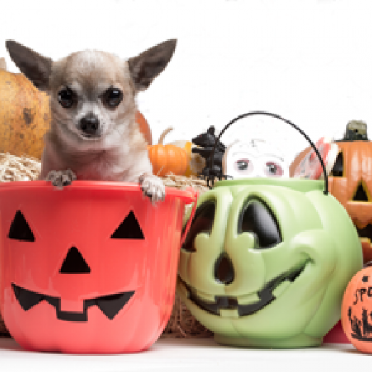 Nonprofit Horror Stories: George's Financial Peril