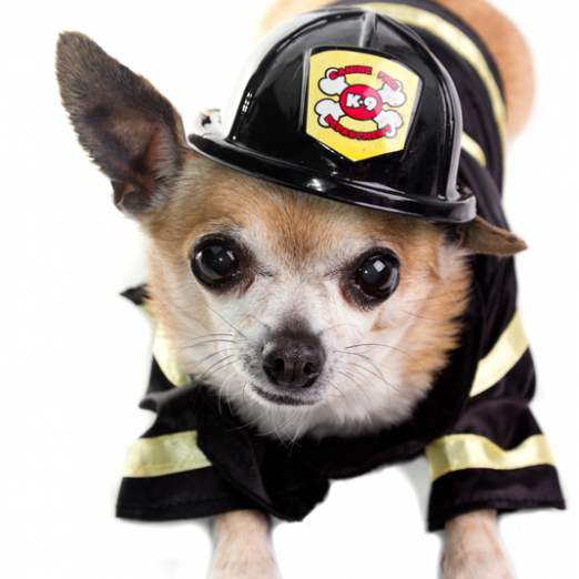 7 Signs You Need To Fire Your Consultant