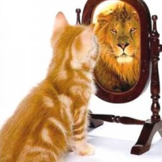 5 Signs You're A Victim of Founder's Syndrome