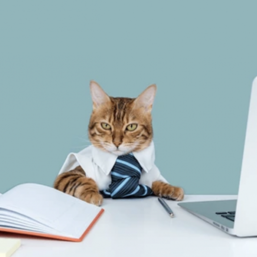 Crafting a C-Suite Resume: 5 Proven Strategies for Success