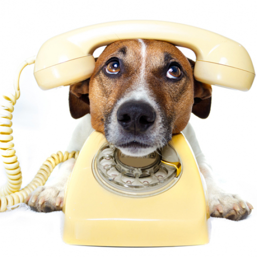 How To Lose A Recruiter’s Interest in 6 Ways
